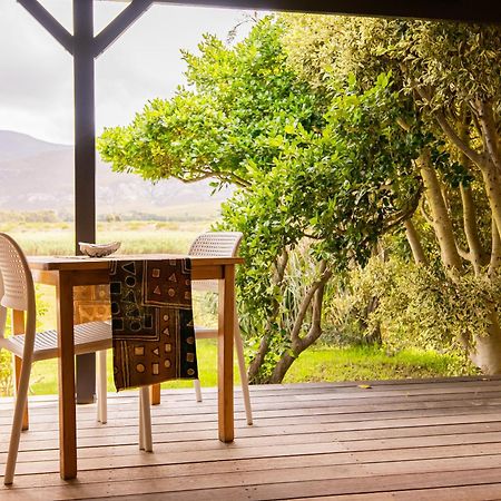 Springfontein River Lodge Stanford Bagian luar foto