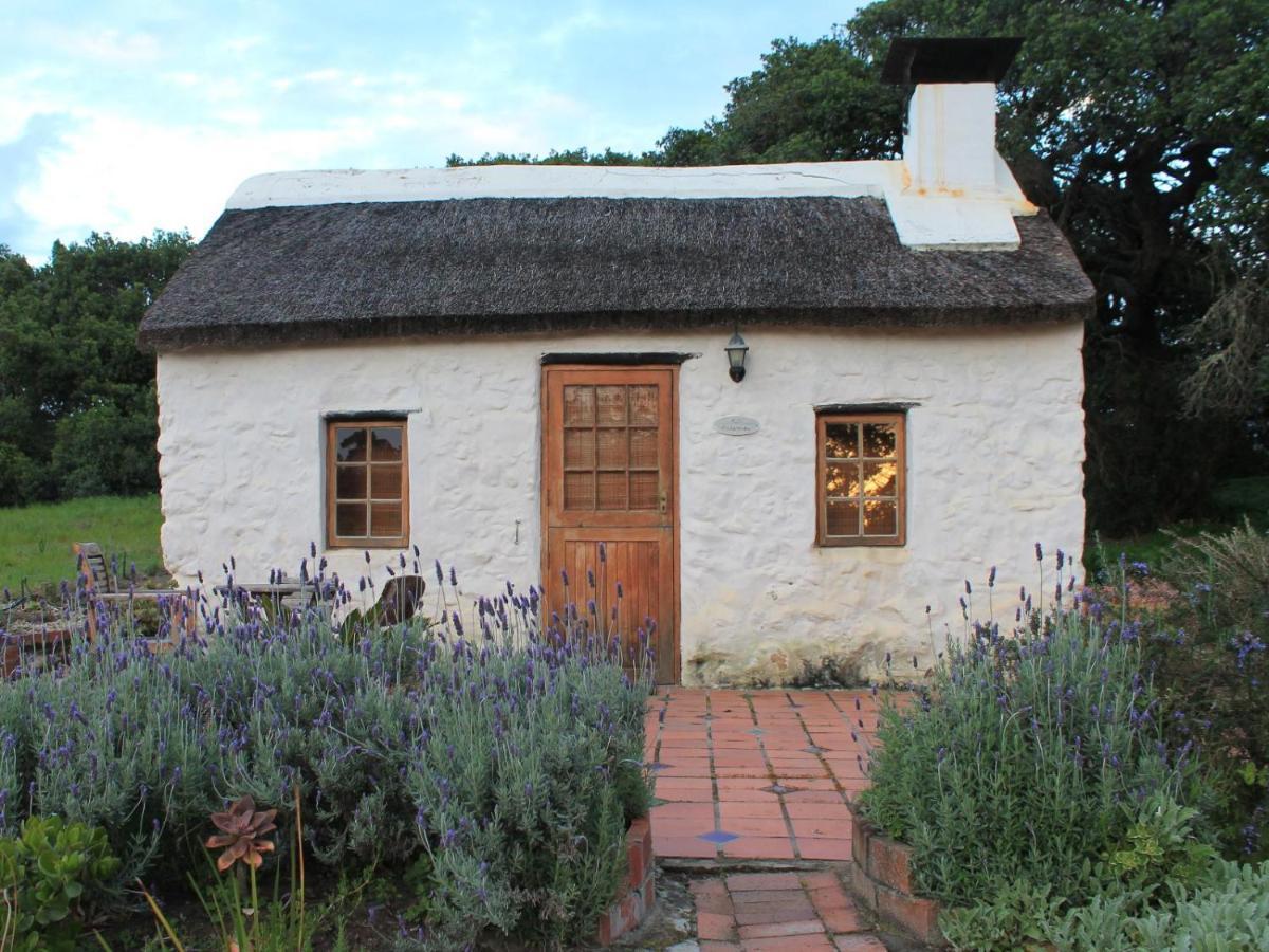 Springfontein River Lodge Stanford Bagian luar foto