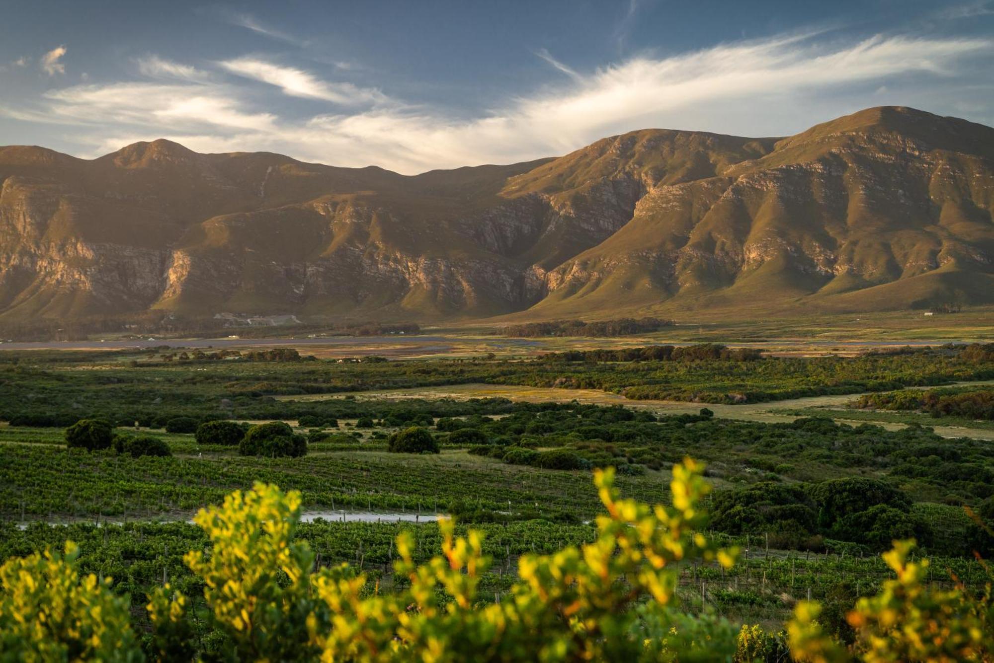 Springfontein River Lodge Stanford Bagian luar foto