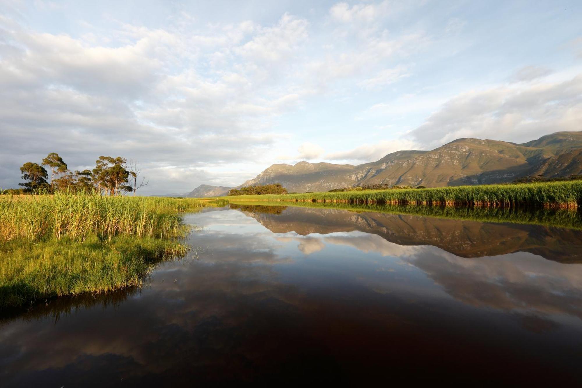 Springfontein River Lodge Stanford Bagian luar foto