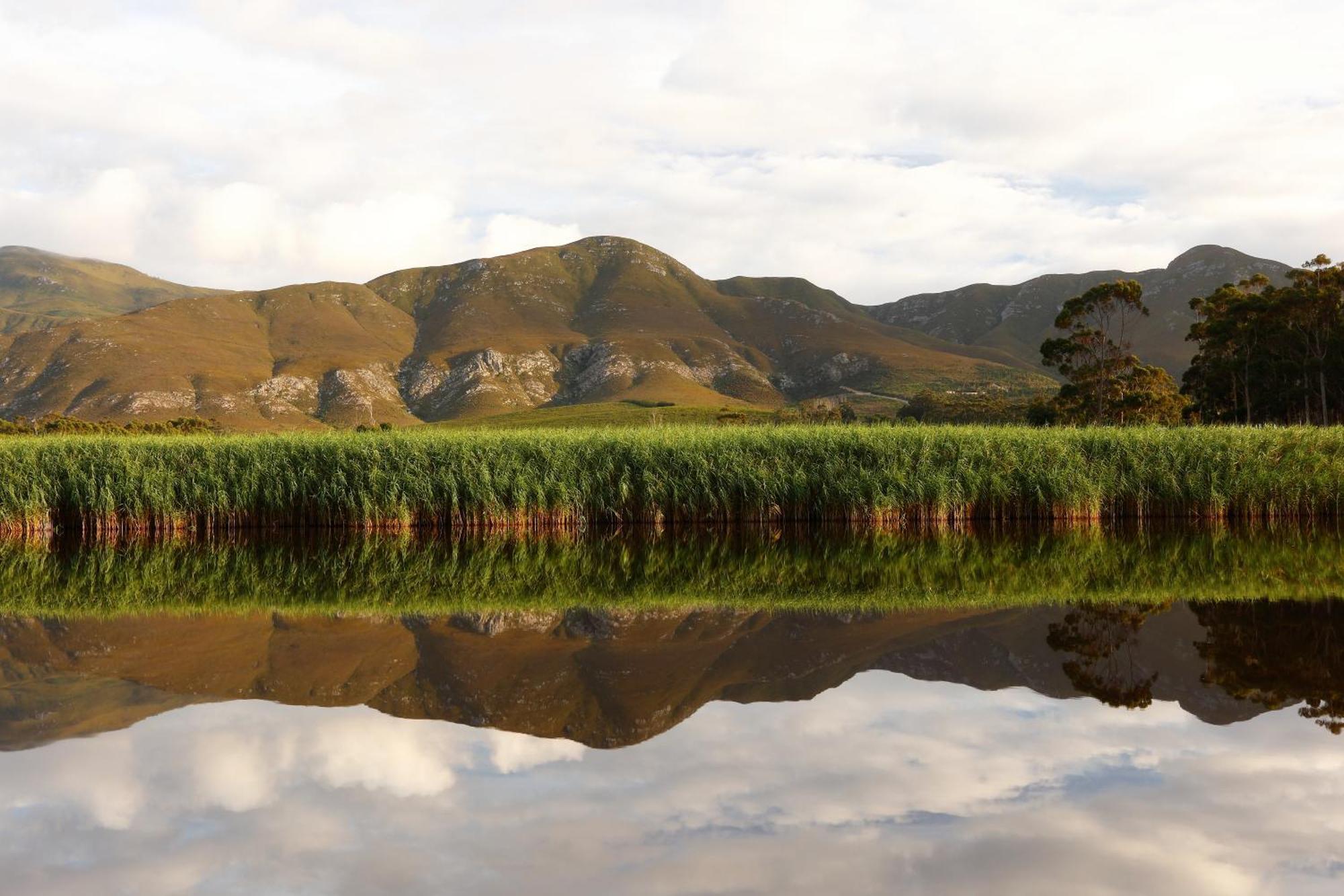 Springfontein River Lodge Stanford Bagian luar foto