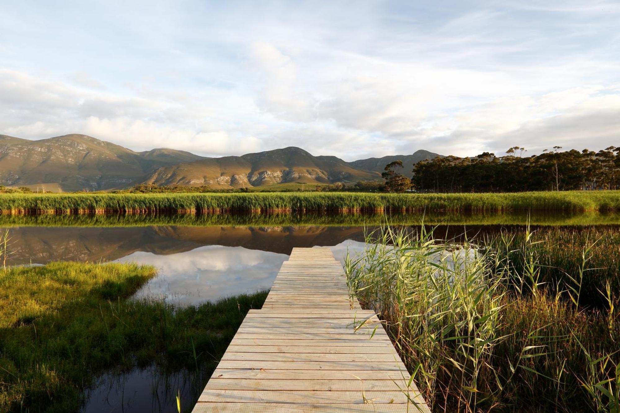 Springfontein River Lodge Stanford Bagian luar foto