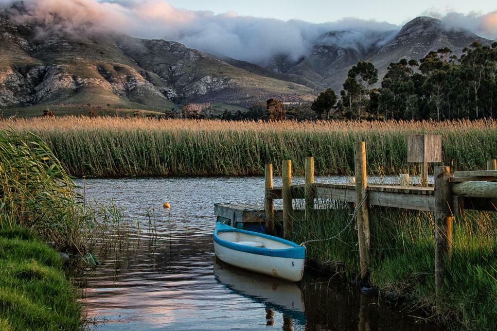 Springfontein River Lodge Stanford Ruang foto